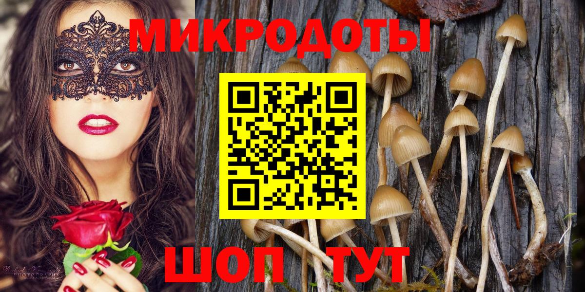Бутурлиновка  магазин продажи наркотиков  Вход с VPN  Галлюциногенные грибы Psilocybine cubensis  Галлюциногенные грибы прущие грибы 